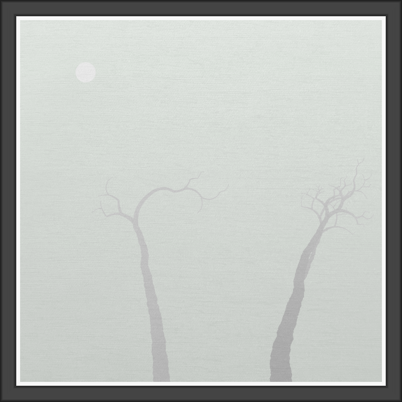 The Foggy Trees #7