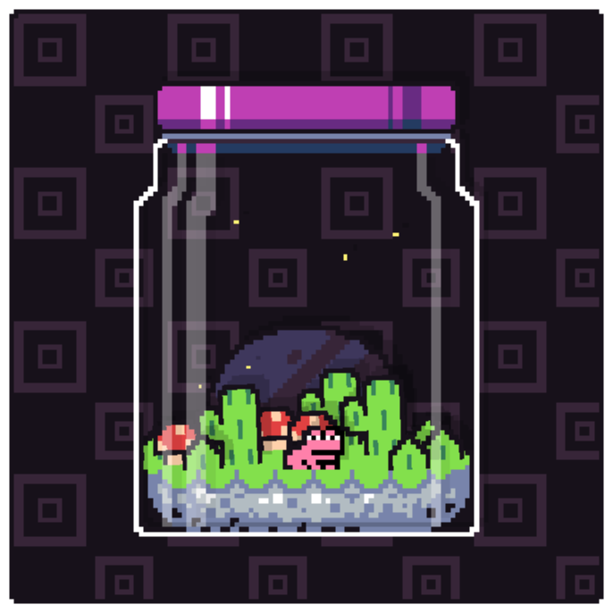 Toad Terrarium #61