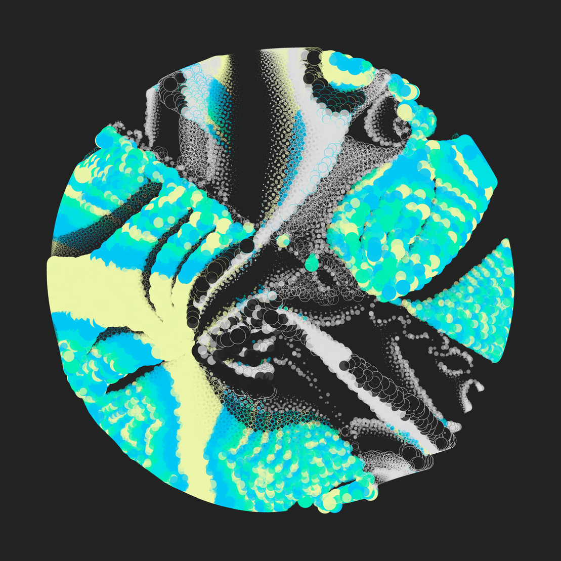 Still C #2289