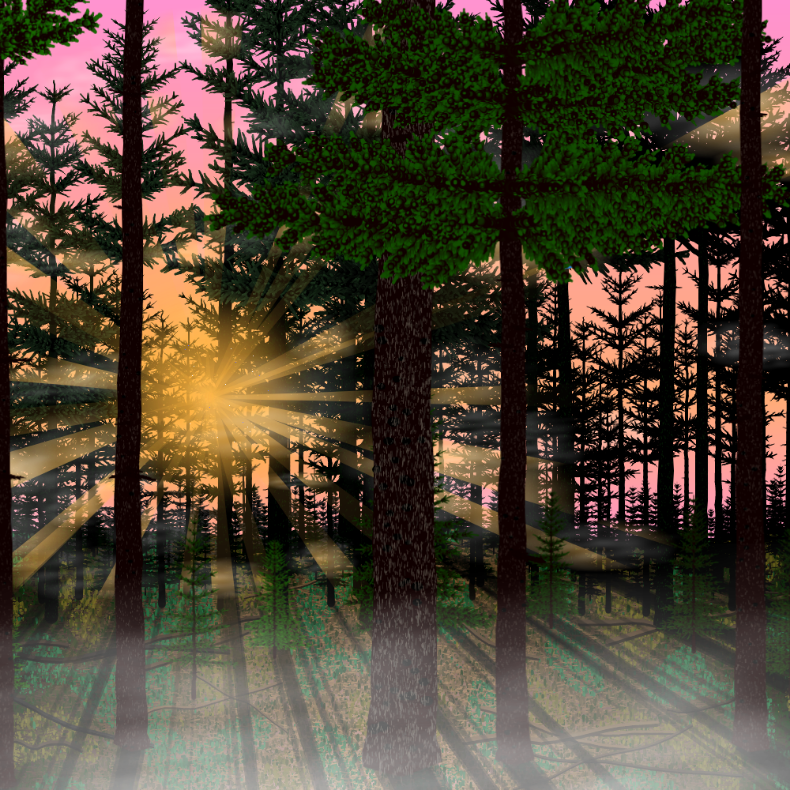 Forest Sunrise #33