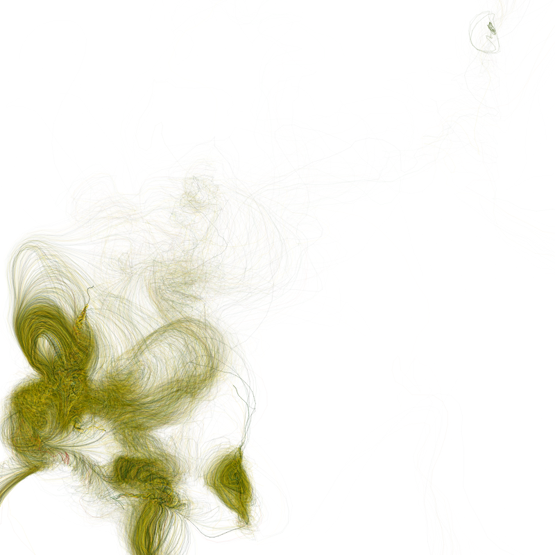 Hypericum #168