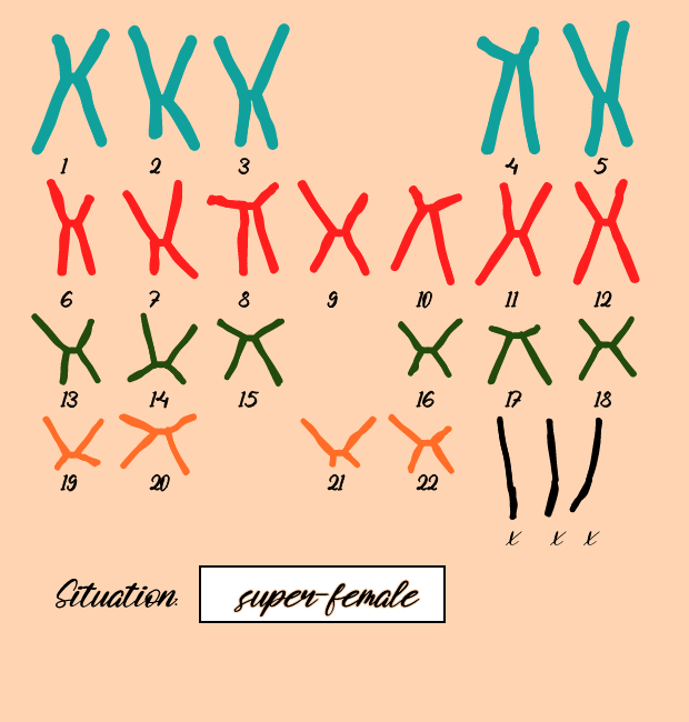 "Karyotype" #5