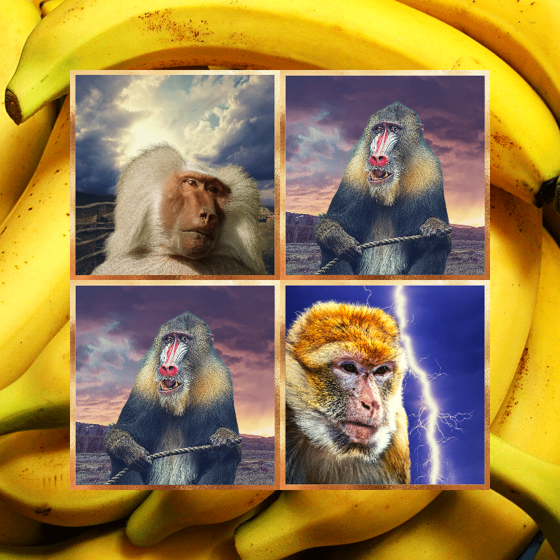 Banana legends #23