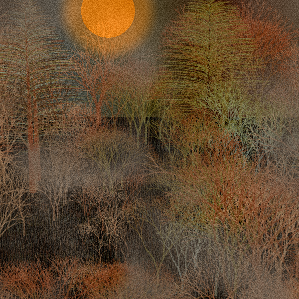 Moonlit Native Bush #12