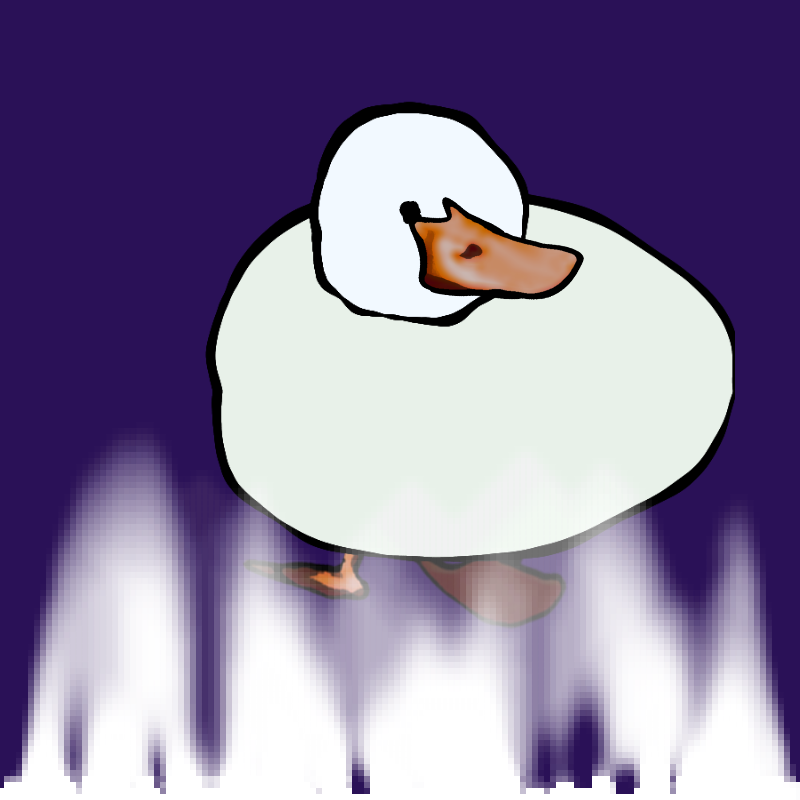 What The Duck #2