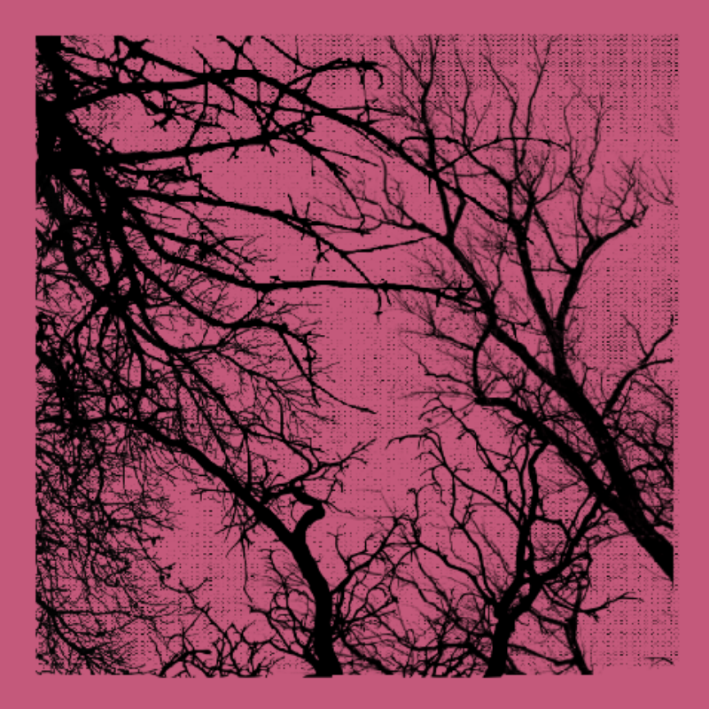 Forest of Shadows #74