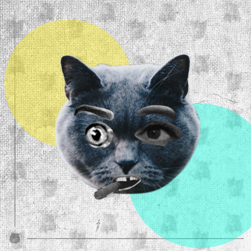 Kittenstein #54