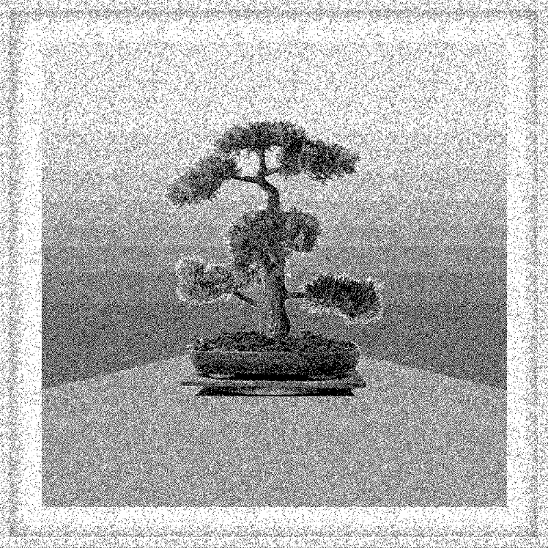 Bonsai Bonanza #680