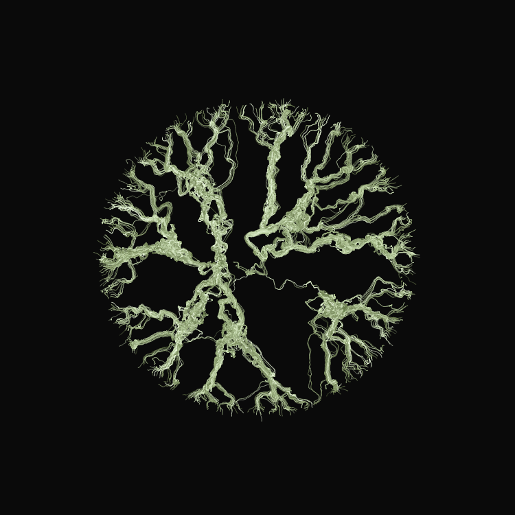 Ginseng #59