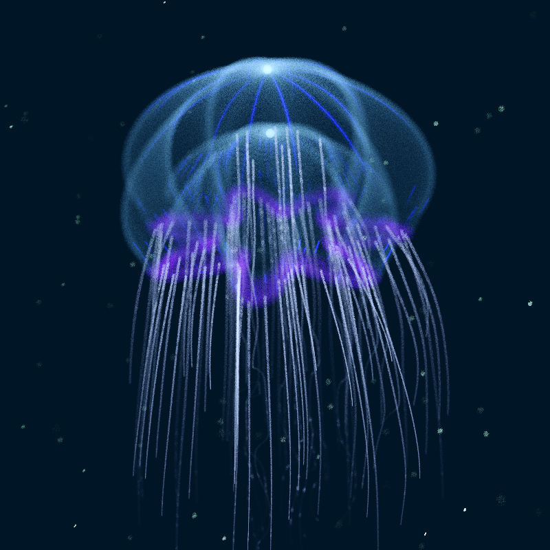 Creatures of the Deep #1 - The Jellyfish #5