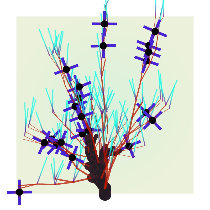 Some generative trees #20