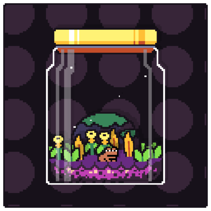 Toad Terrarium #193