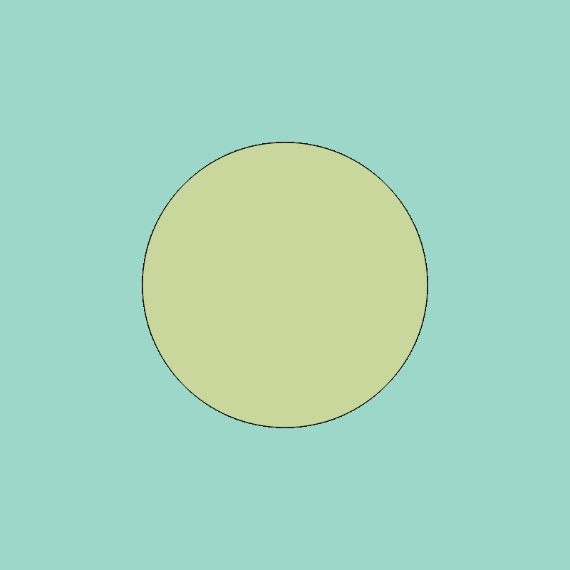 Simple Circle #91