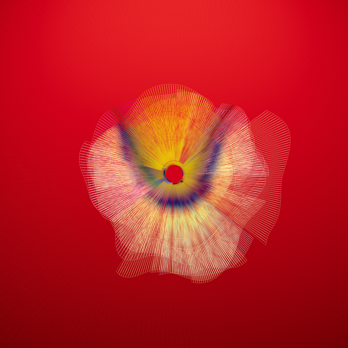 Supernova poppy #91