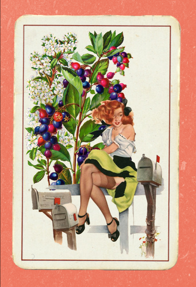 Paper Pinups  #8