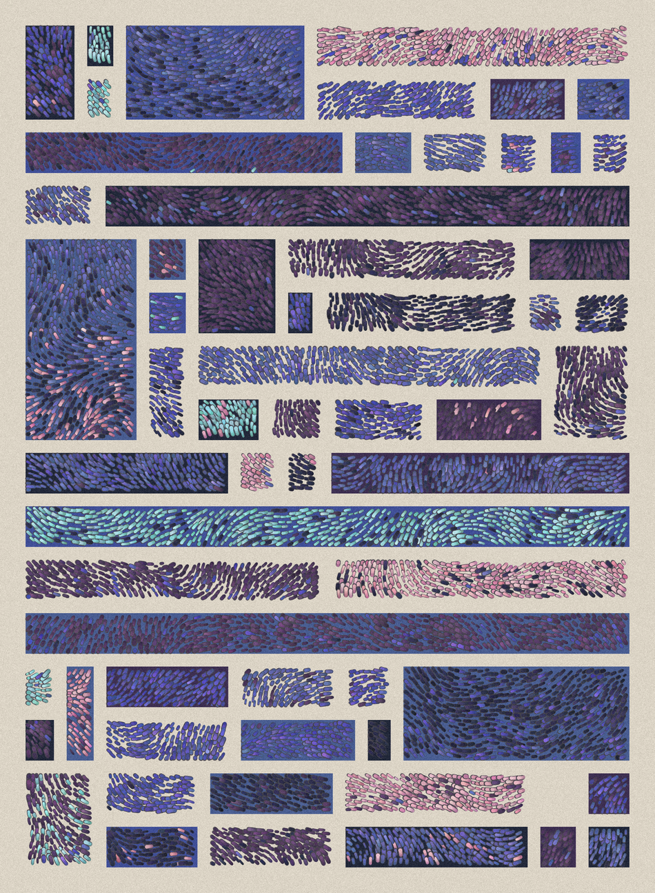 Sugar & Splice #298