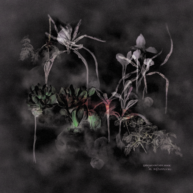 Hauntological Herbarium #3