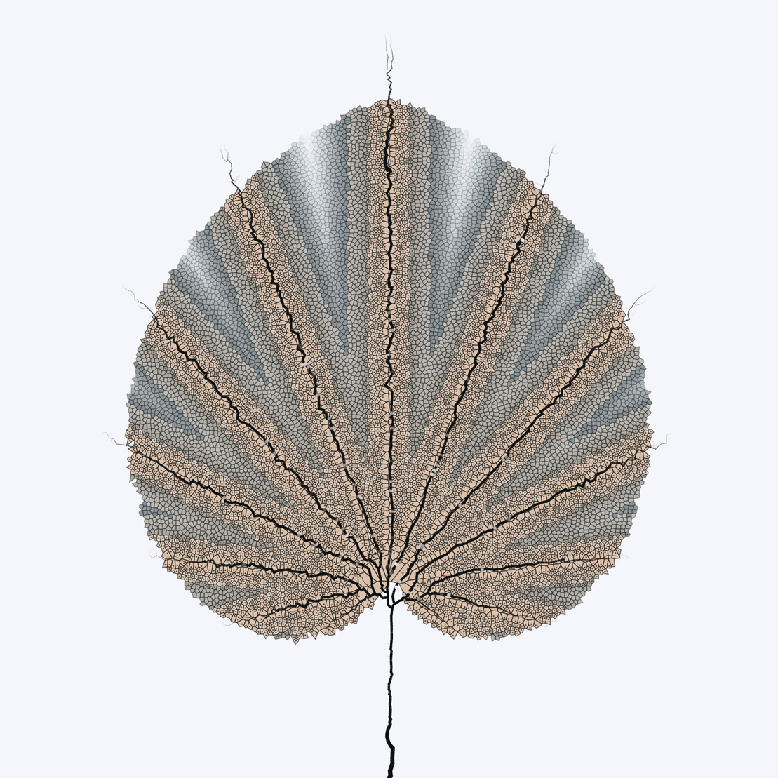 Leaf study #54