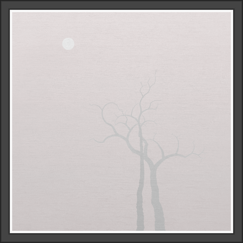 The Foggy Trees #106