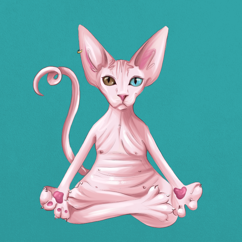 YogaCat #53