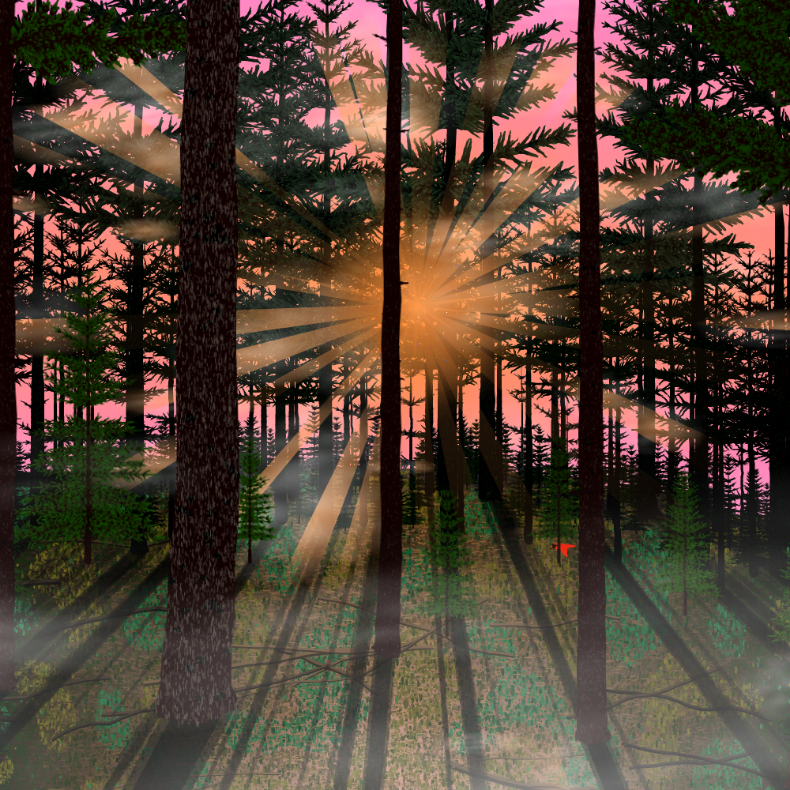 Forest Sunrise #39