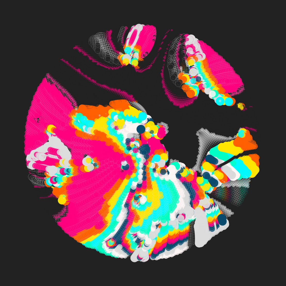Still C #28234