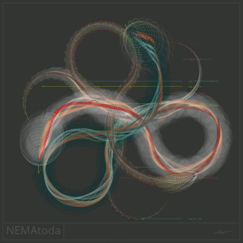 NEMA #60