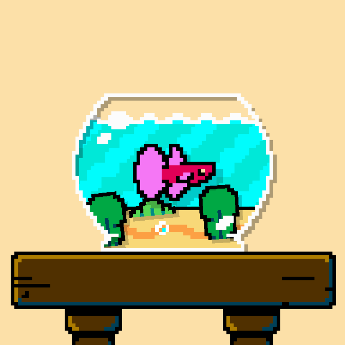betta fish #475