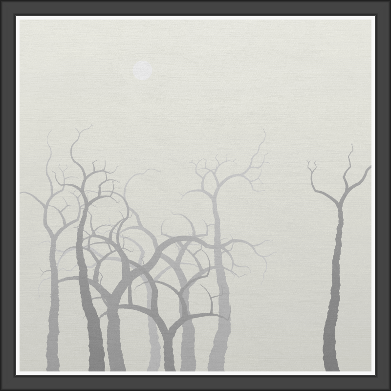 The Foggy Trees #37