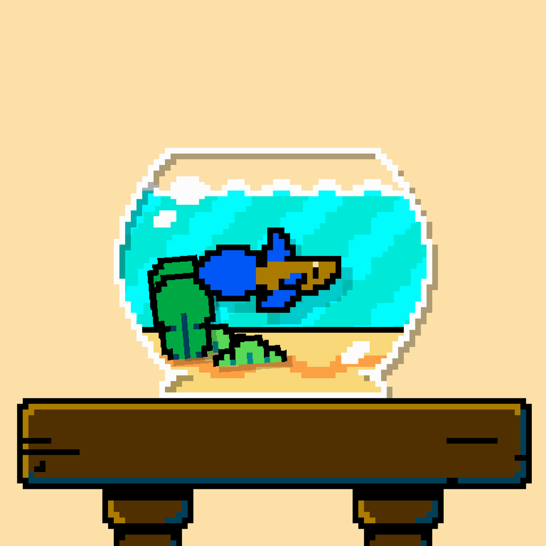 betta fish #42