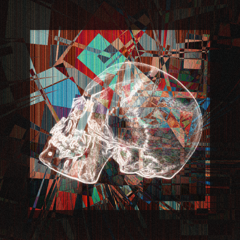 X-ray of a skull #12