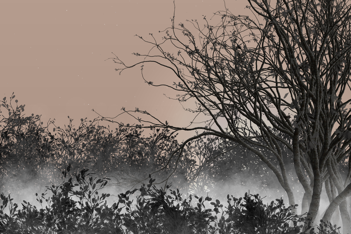 Morning Mist #268