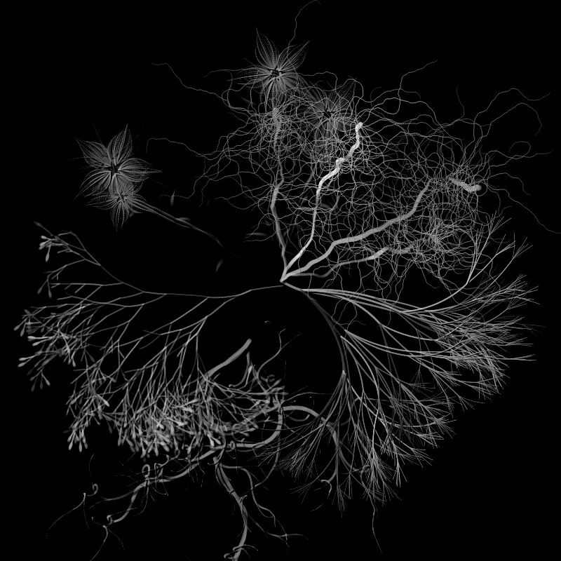 Botanical Ghosts #202