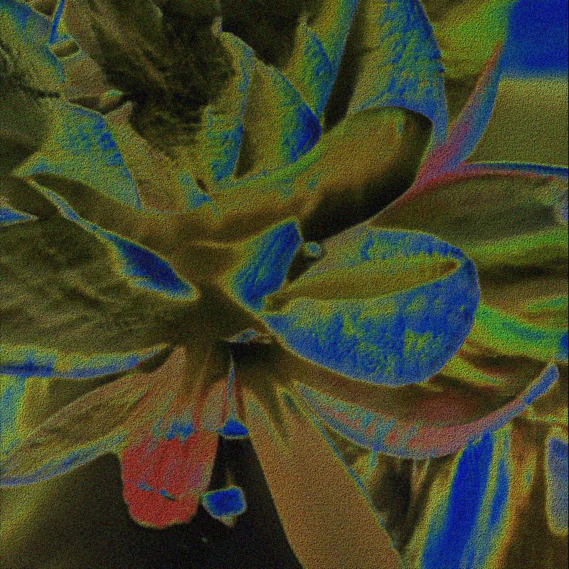 CLDCSMC #127