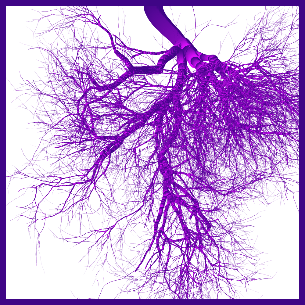 Arbres suspendus #15