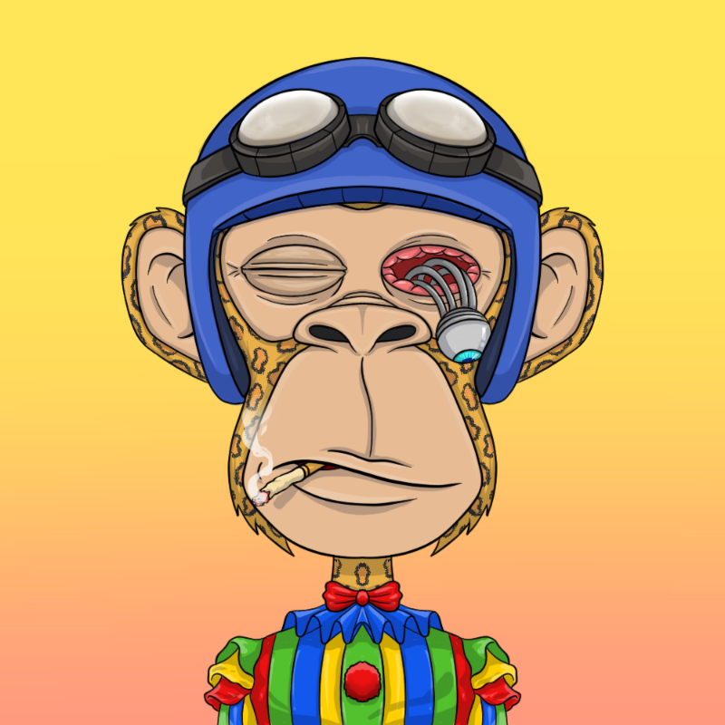 chimpantez #8