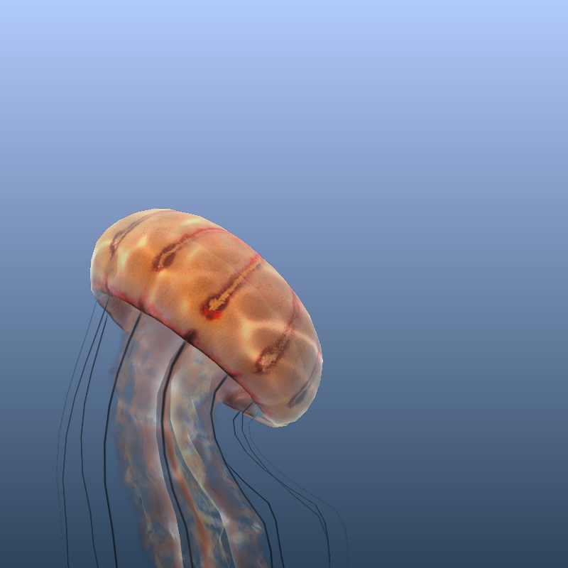 Jellyfish #53