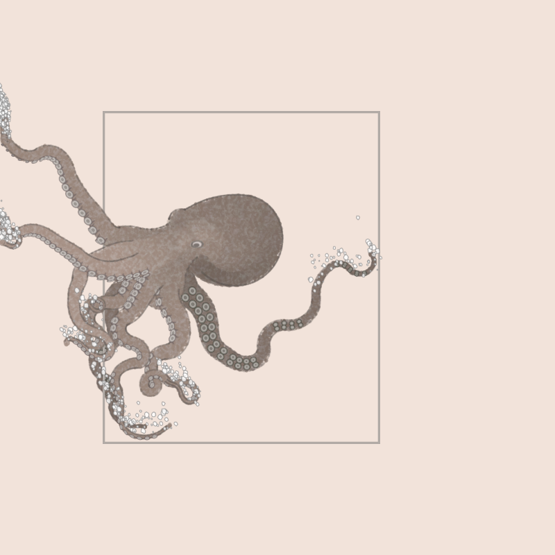 the generative octopuses #1