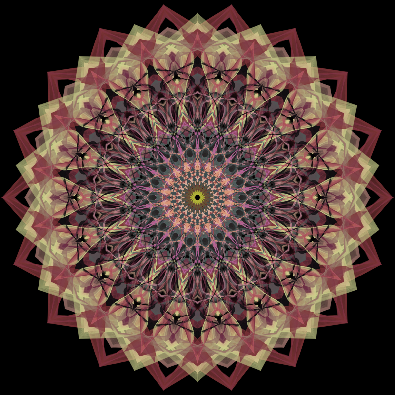 Morphing Mandala - #fxhashturnsone charity #84