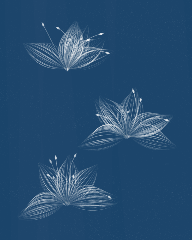 Cyanotypes #94