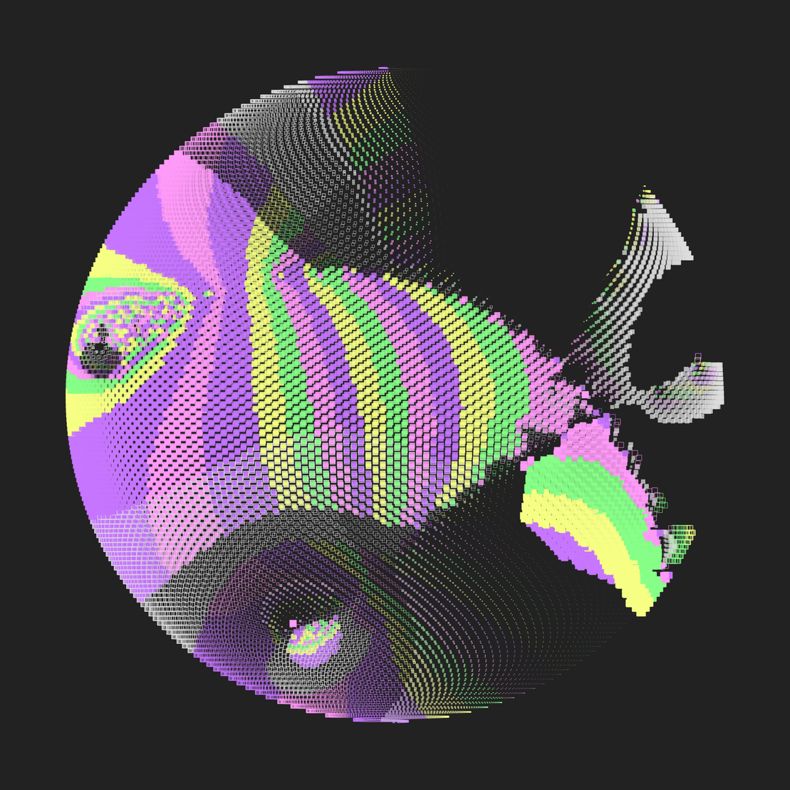 Still C #21559