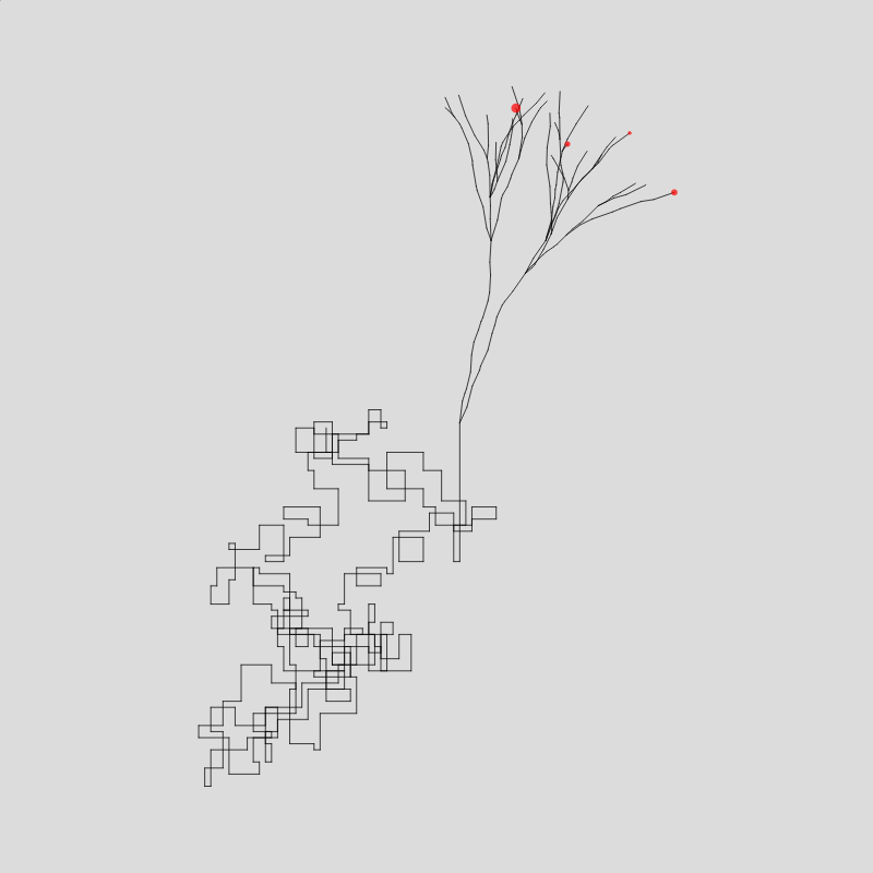 Algorithmic Tree #11