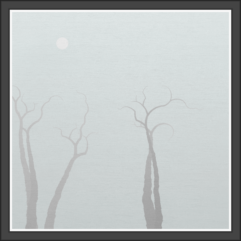 The Foggy Trees #26