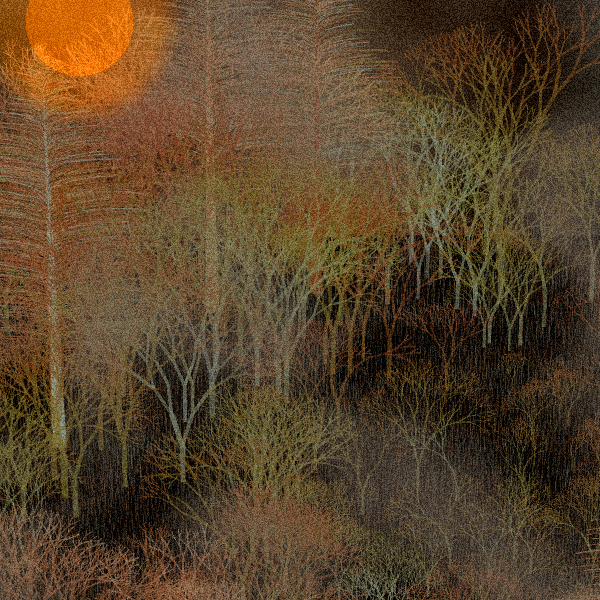 Moonlit Native Bush #16