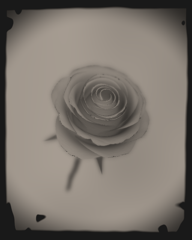 Rose 1851 #49