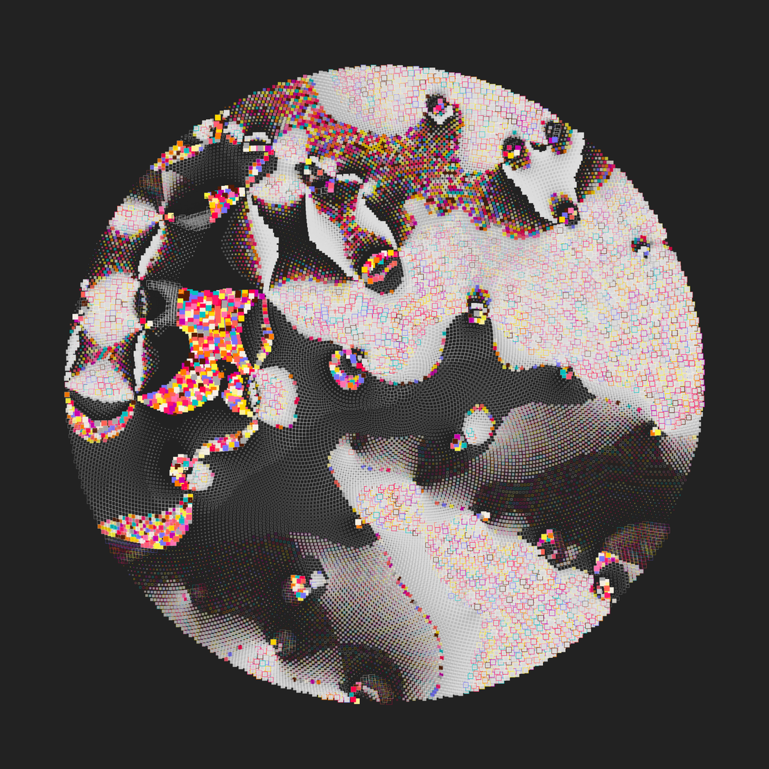 Still C #26706