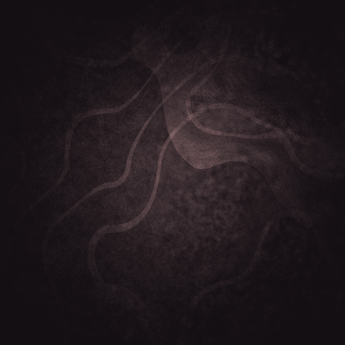 Beyond Dichotomy  #44