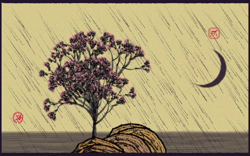 Bloom in the rain #37