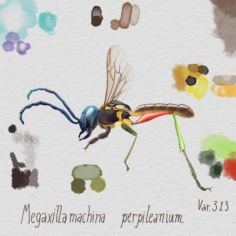 Randomic Brazilian Insects 1