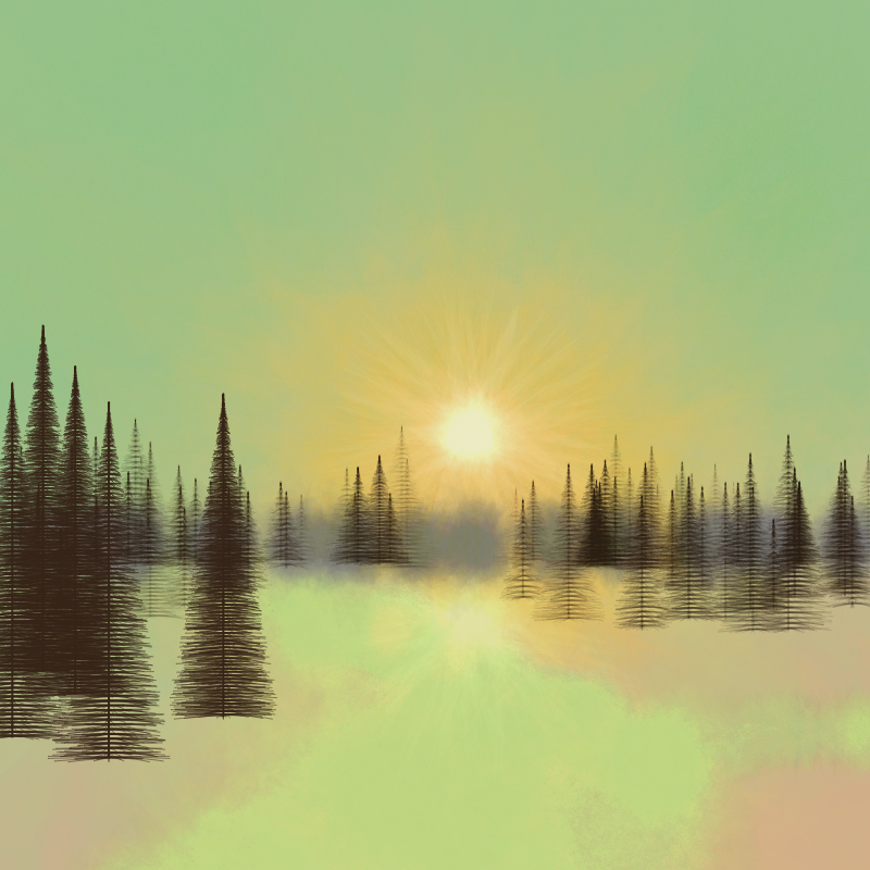 Pinescapes #81